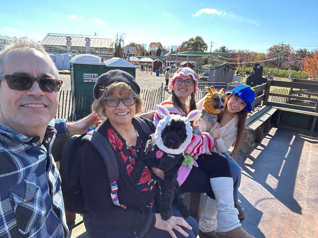 Secor Farms-莫沃必去景点