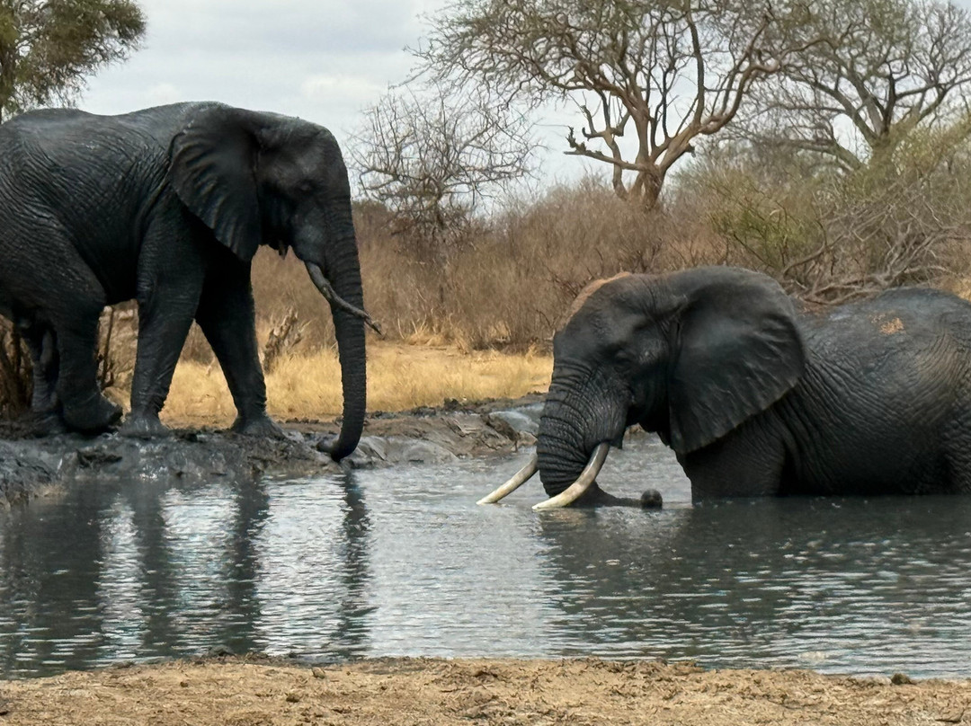 Jemu Expeditions-南由基必去景点