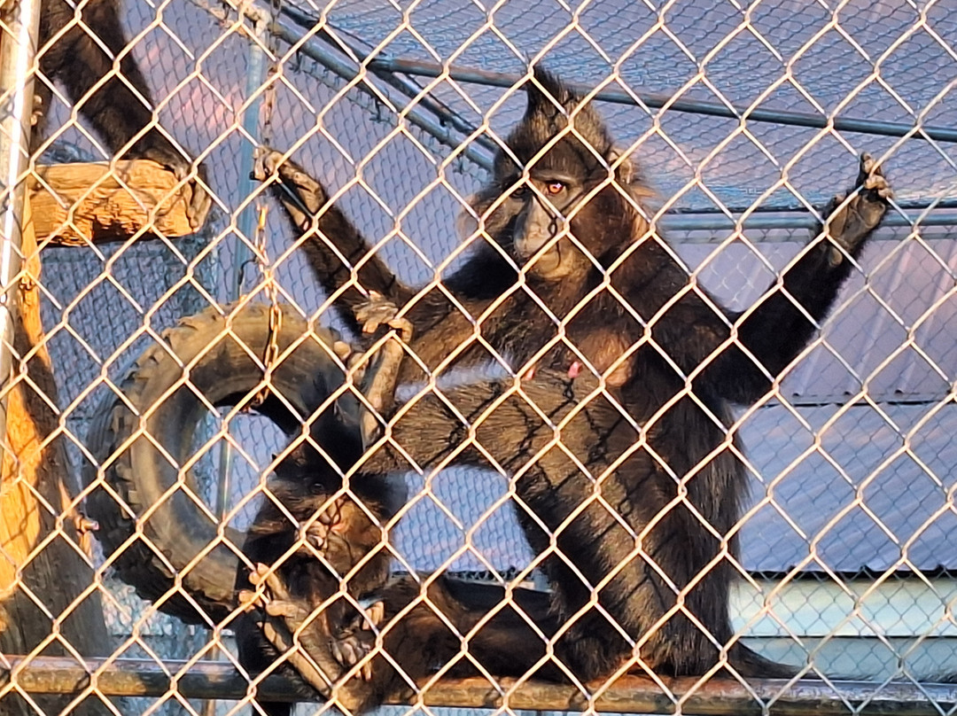 Metro Richmond Zoo-Moseley必去景点