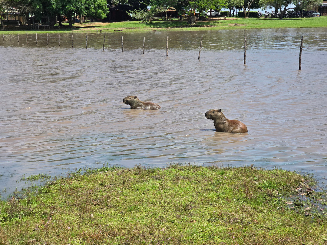 Cunaguaro Travel-Yopal必去景点