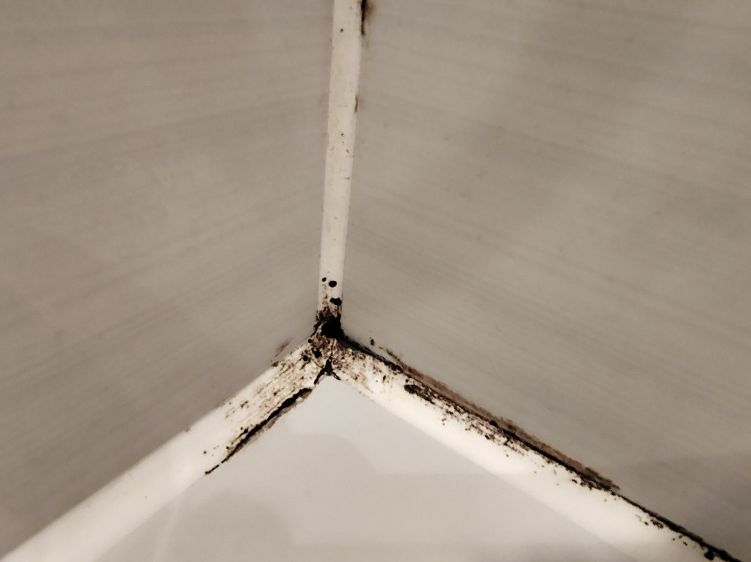 Premier Inn Marlborough hotel主图