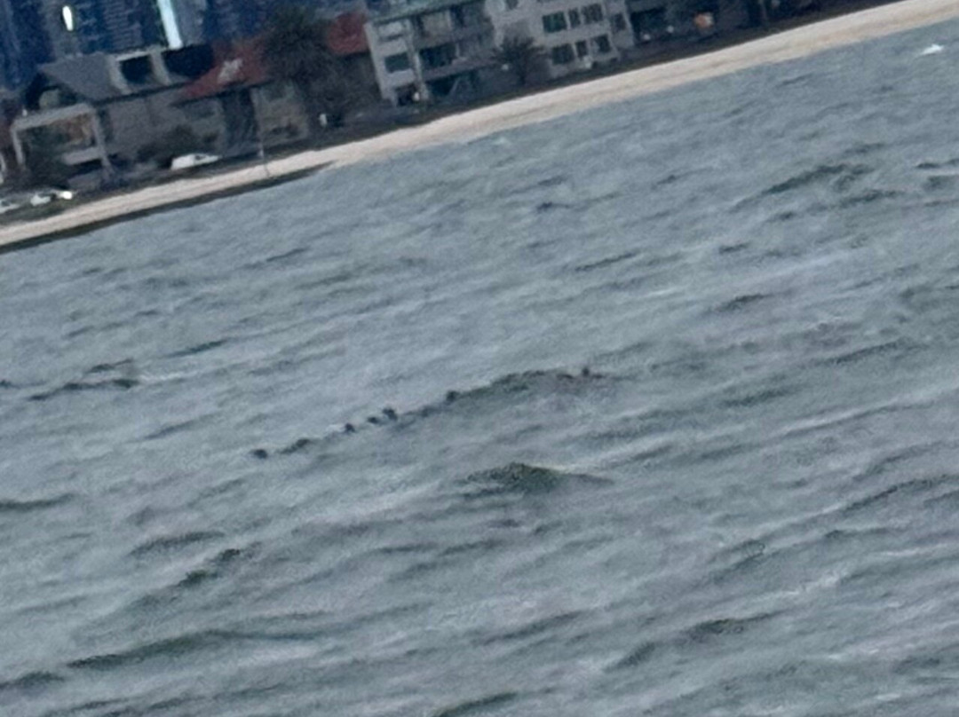 St Kilda Ferry-圣基尔达必去景点