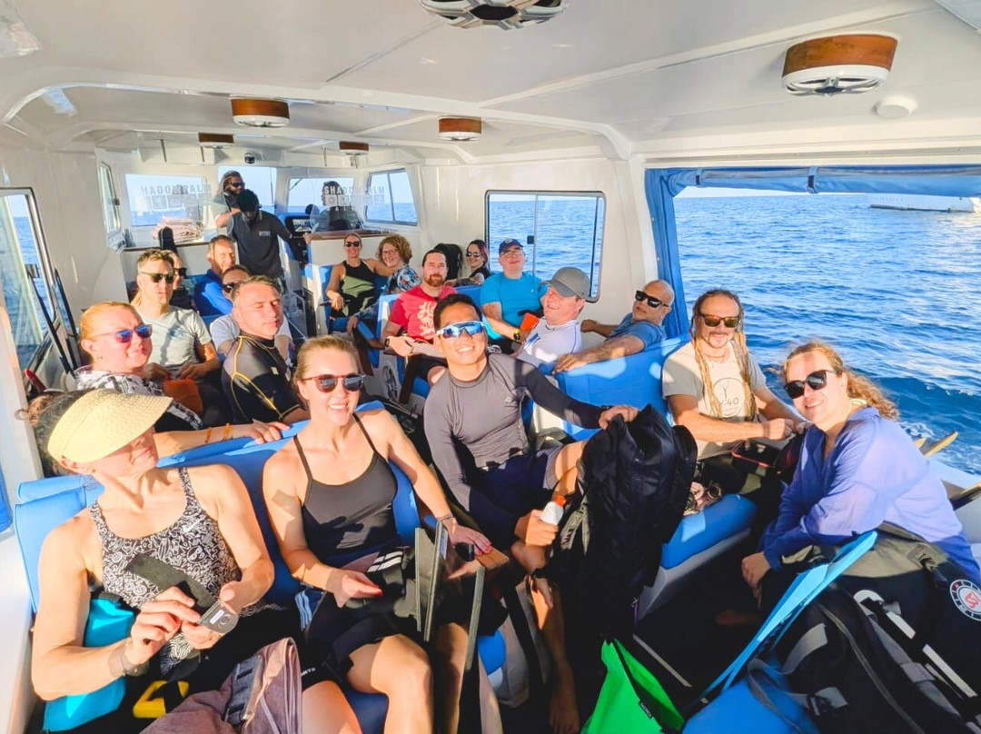 Blue Water Freediving School-伦敦必去景点