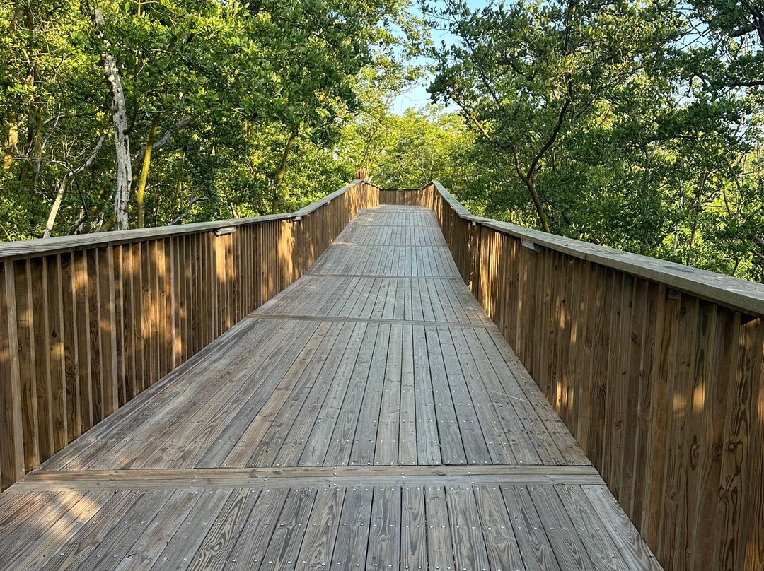 Ecoparque Ciénaga De Mallorquín-Barranquilla必去景点