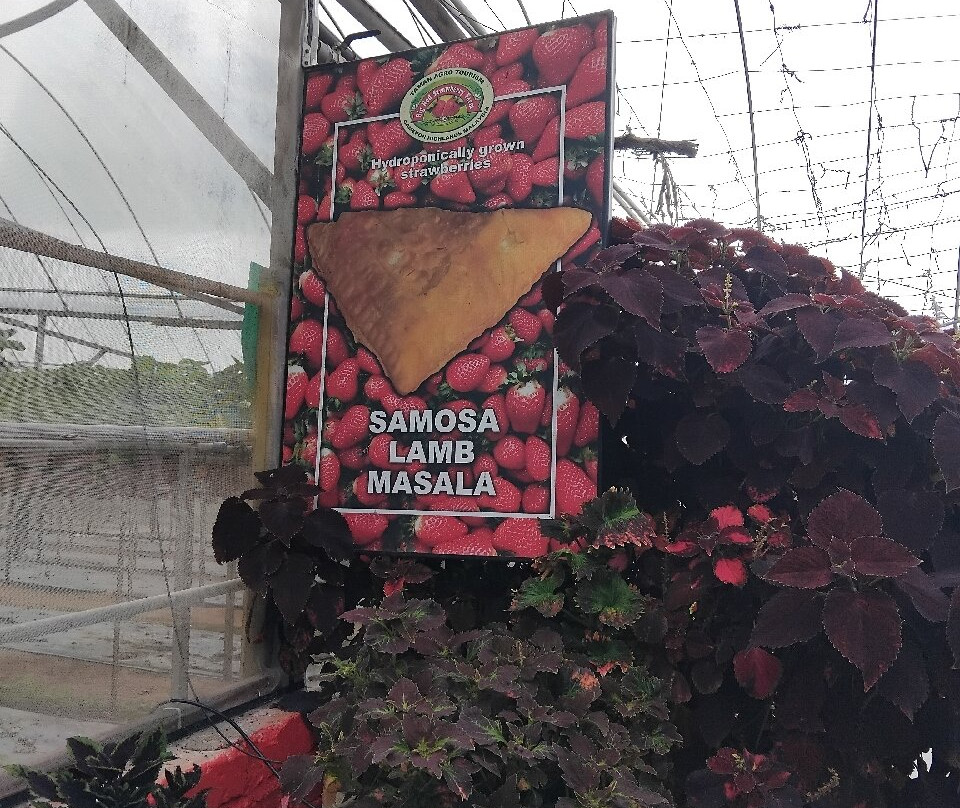 Big Red Strawberry Farm-碧兰璋必去景点