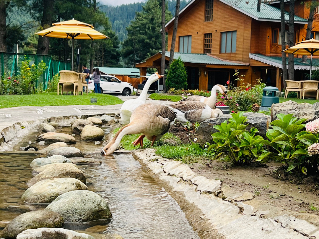 Radisson Golf Resort Pahalgam主图