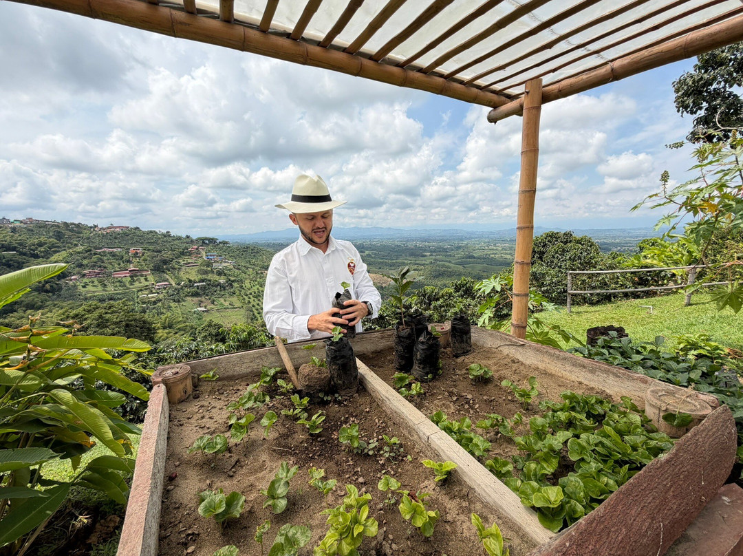 La Divisa De Don Juan-佩雷拉必去景点