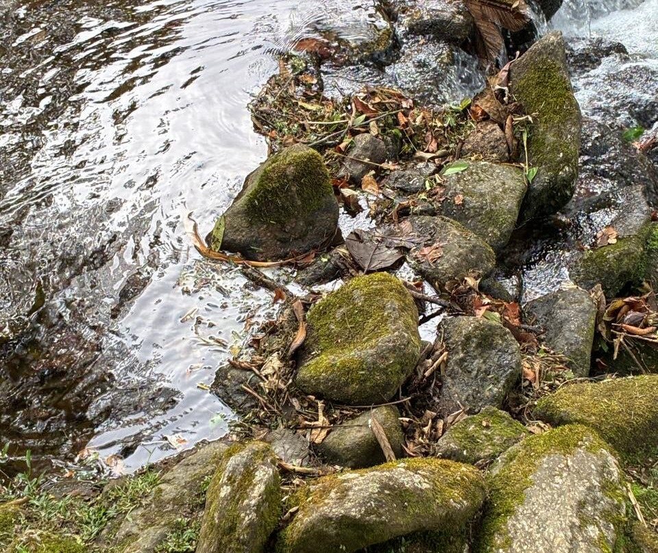 Vale do Alcantilado-Visconde de Maua必去景点