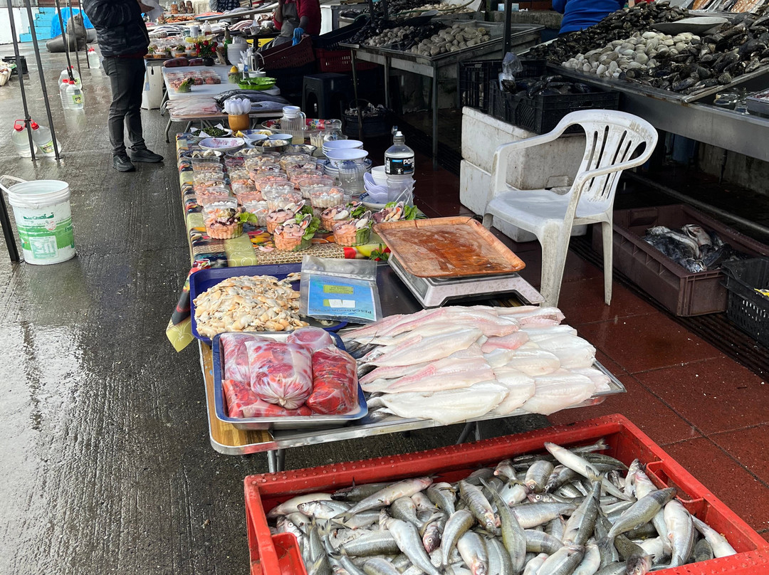 Angelmo-蒙特港必去景点