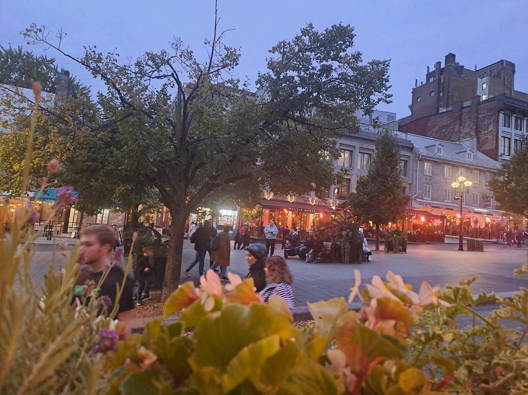 Place Jacques-Cartier-蒙特利尔必去景点