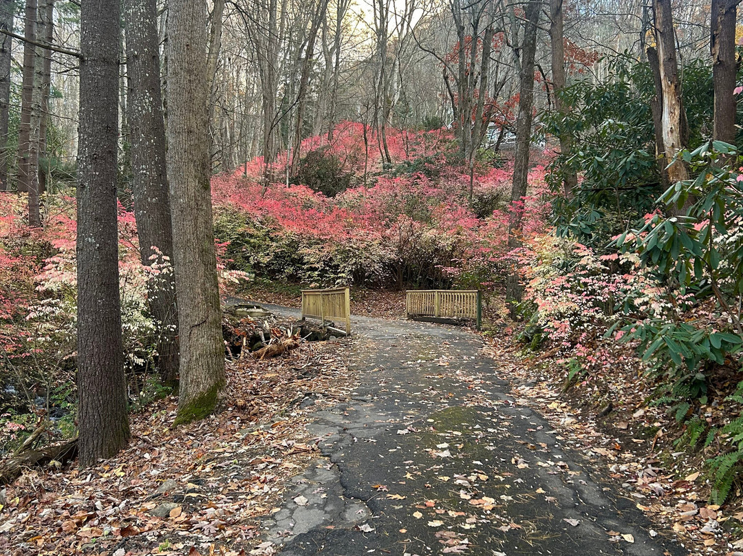 Red Leaf River Inn主图