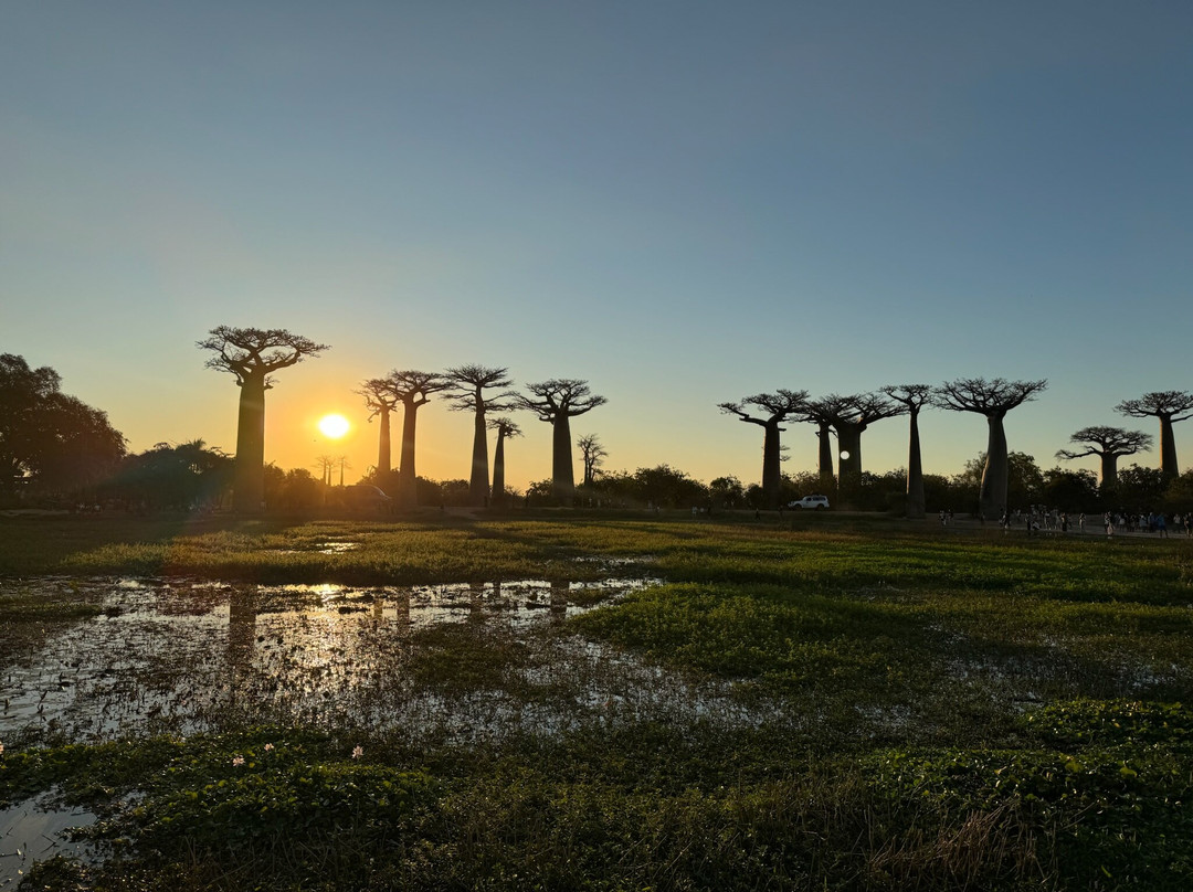 EcotourMada-安塔那那利佛必去景点