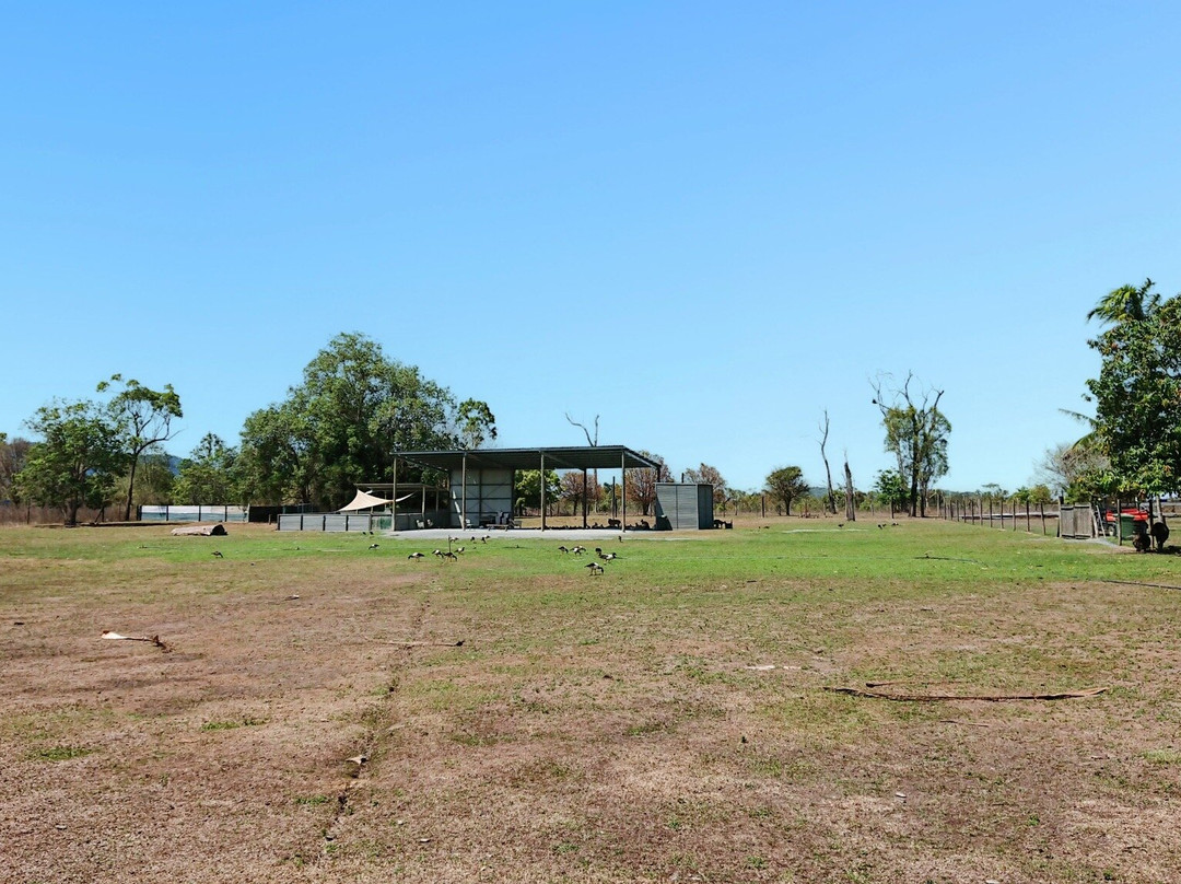 Bredl's Wildlife-艾尔利滩必去景点