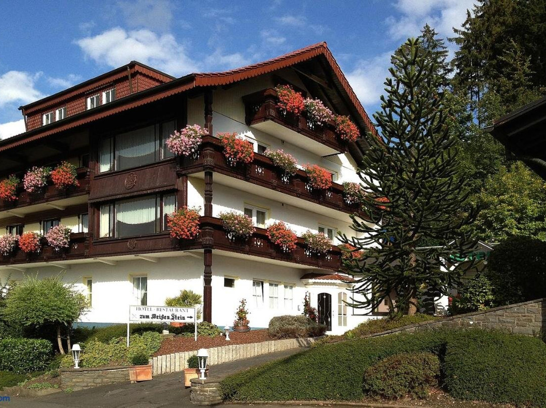 佐姆维根斯汀酒店主图