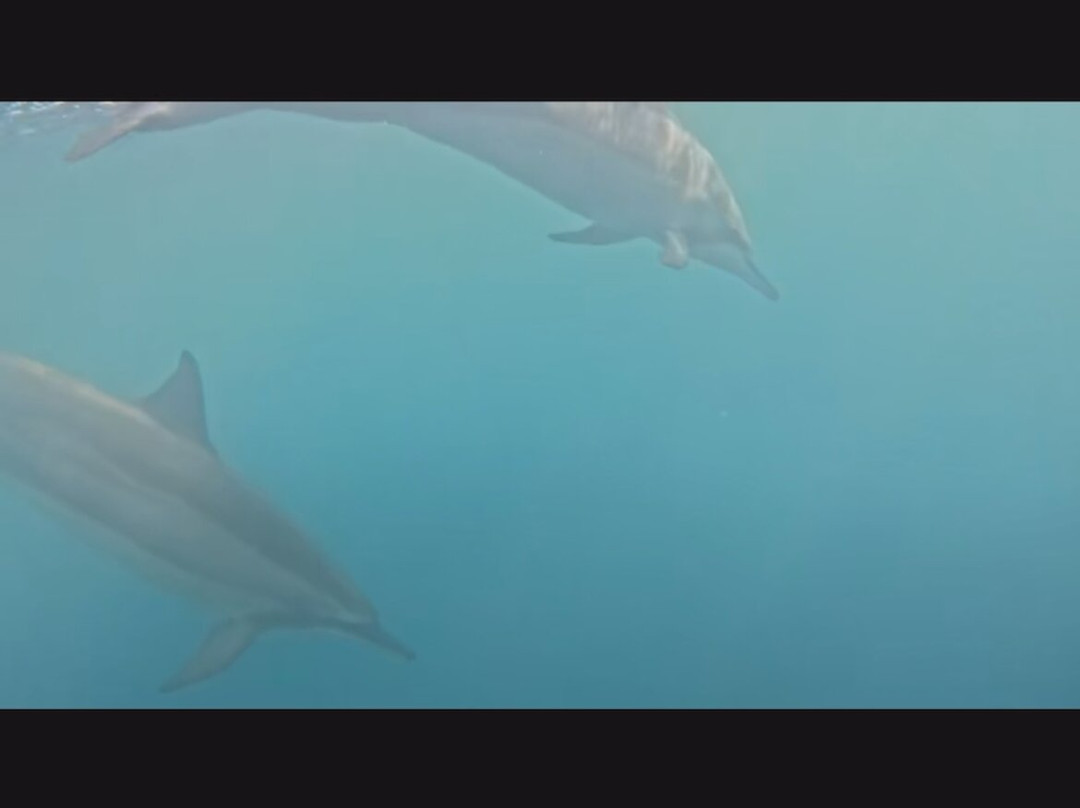 Paradisio Excursions Ile Maurice-大湾必去景点