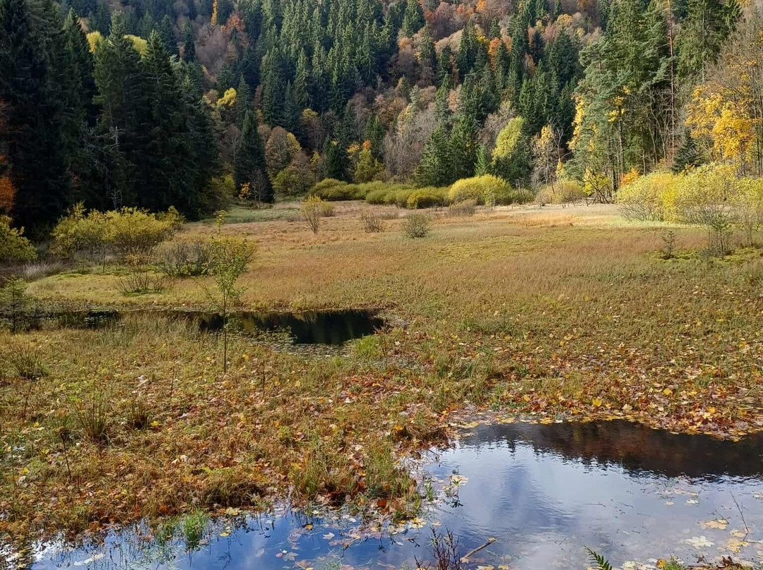 Hotel De La Poste主图