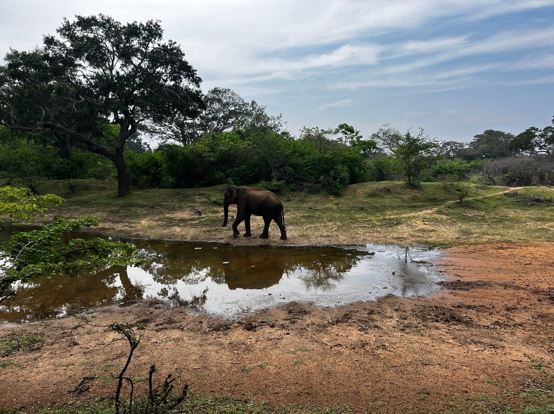 My Driver Sri Lanka-卡图纳耶克必去景点