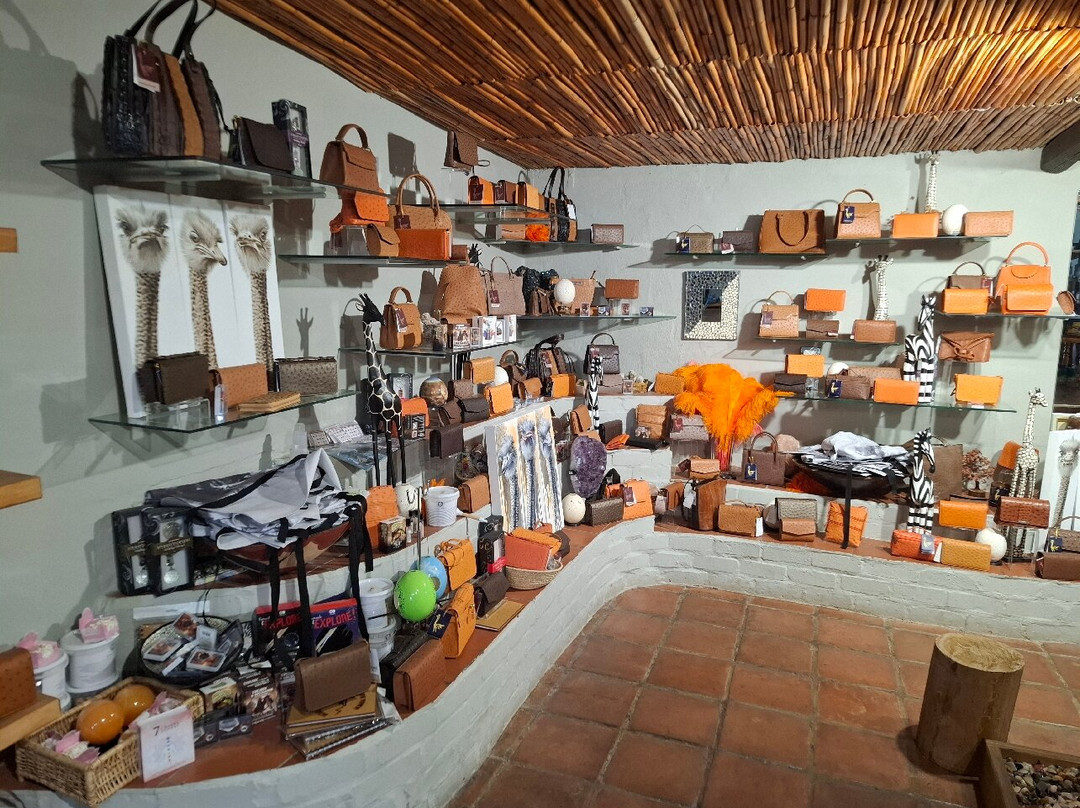 Cape Town Ostrich Ranch-开普敦中心区必去景点