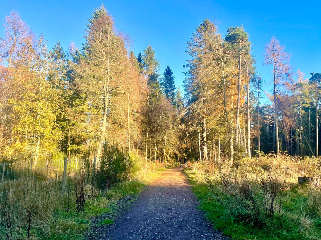 Templeton Woods-敦提必去景点