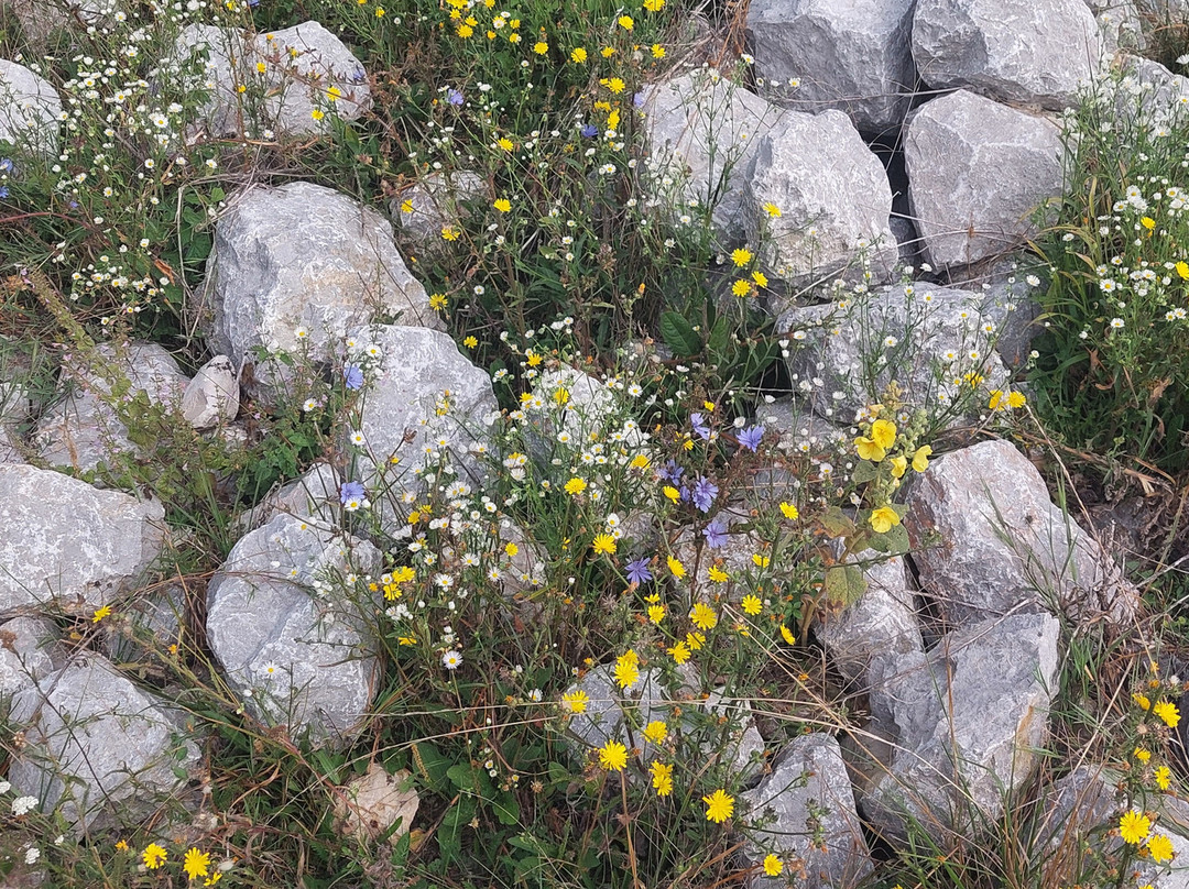 Dreznik Old Town-Dreznik Grad必去景点