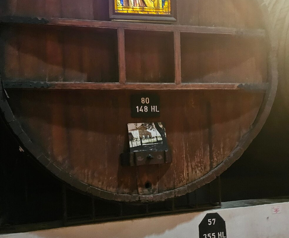 Bodega la Caroyense-Colonia Caroya必去景点