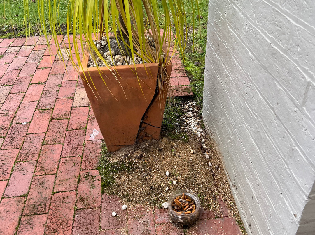 The Riversleigh主图