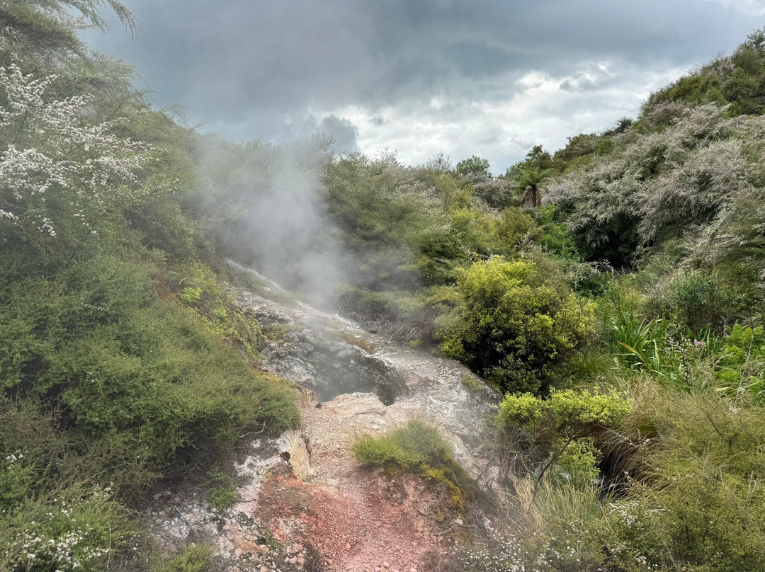 怀拉基天然温泉谷-陶波必去景点