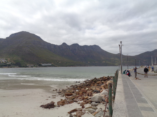 Hout Bay Beach-木湾必去景点