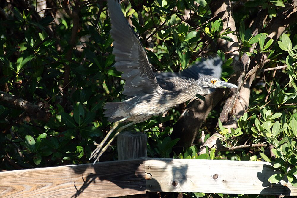 Quick Point Nature Reserve-长船礁必去景点