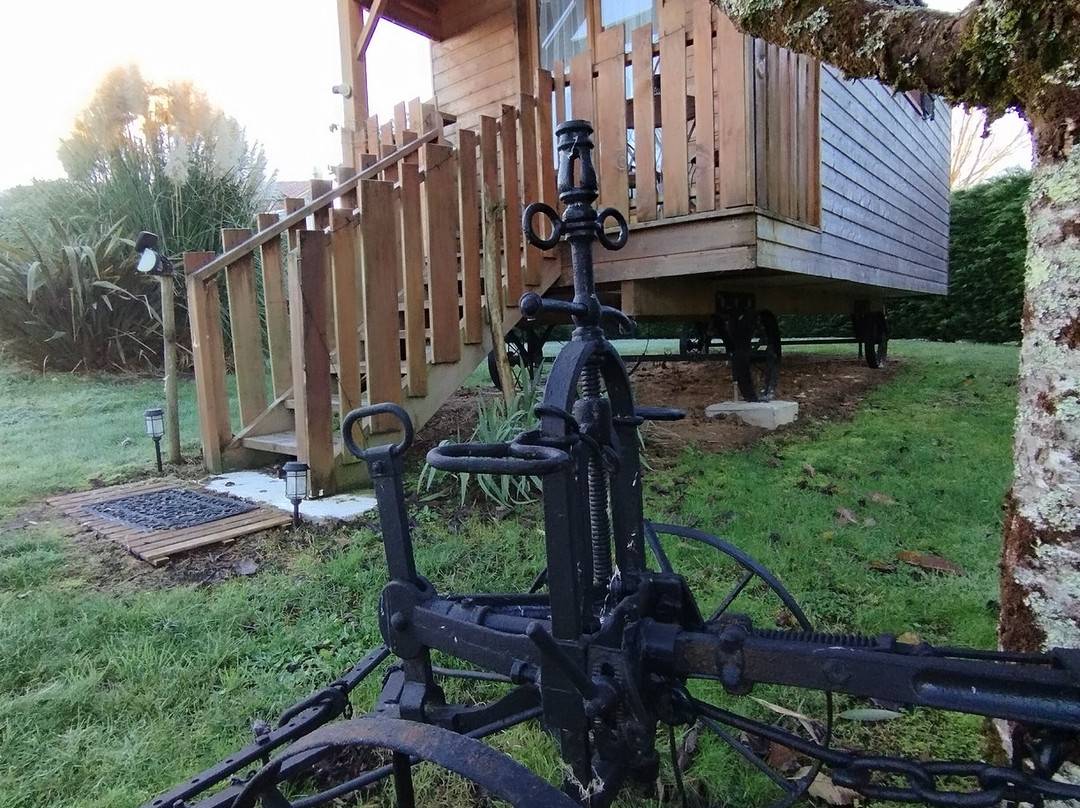 Le Petit Radieux主图