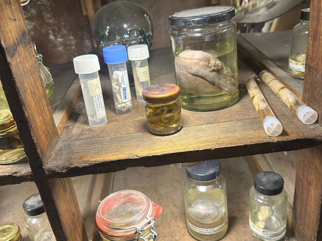 Morbitorium-卡菲利必去景点