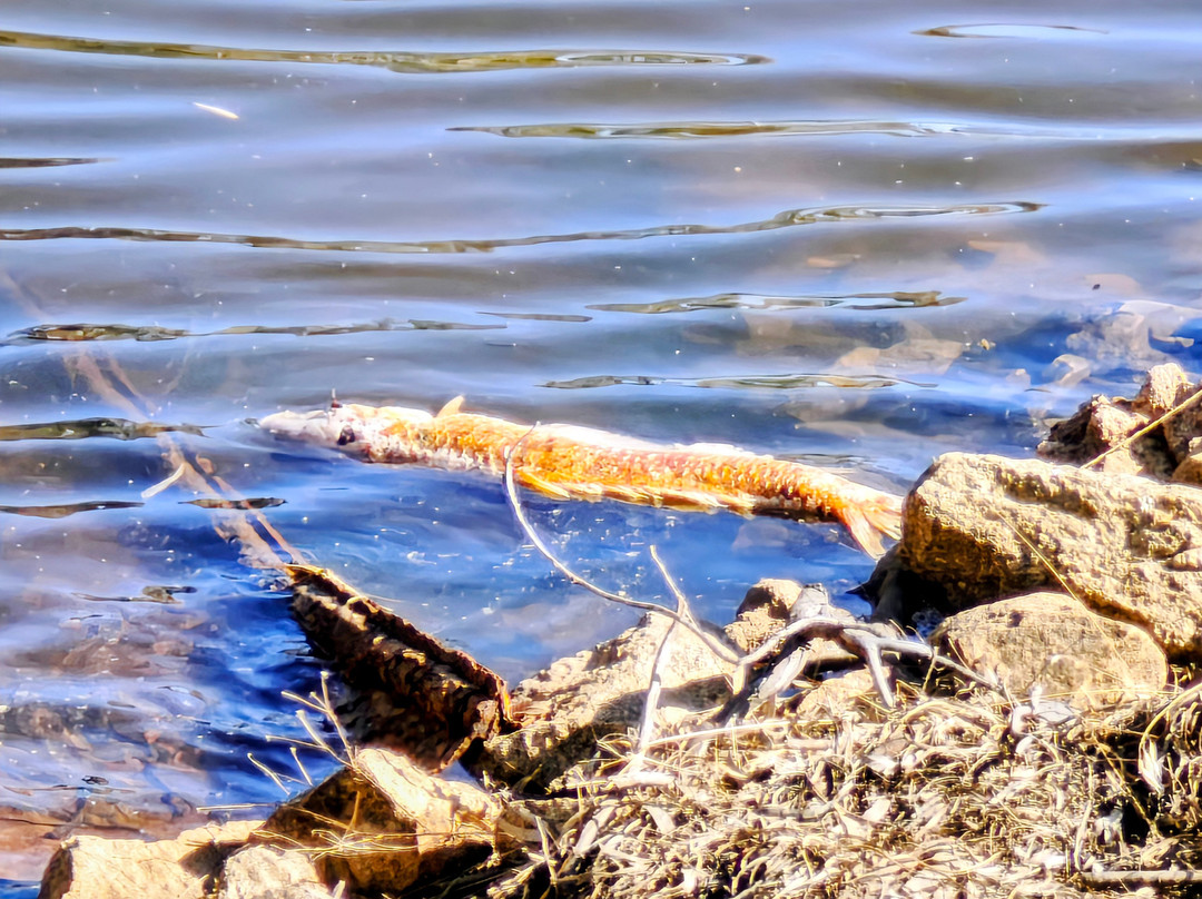 Merredin Peak-Merredin必去景点