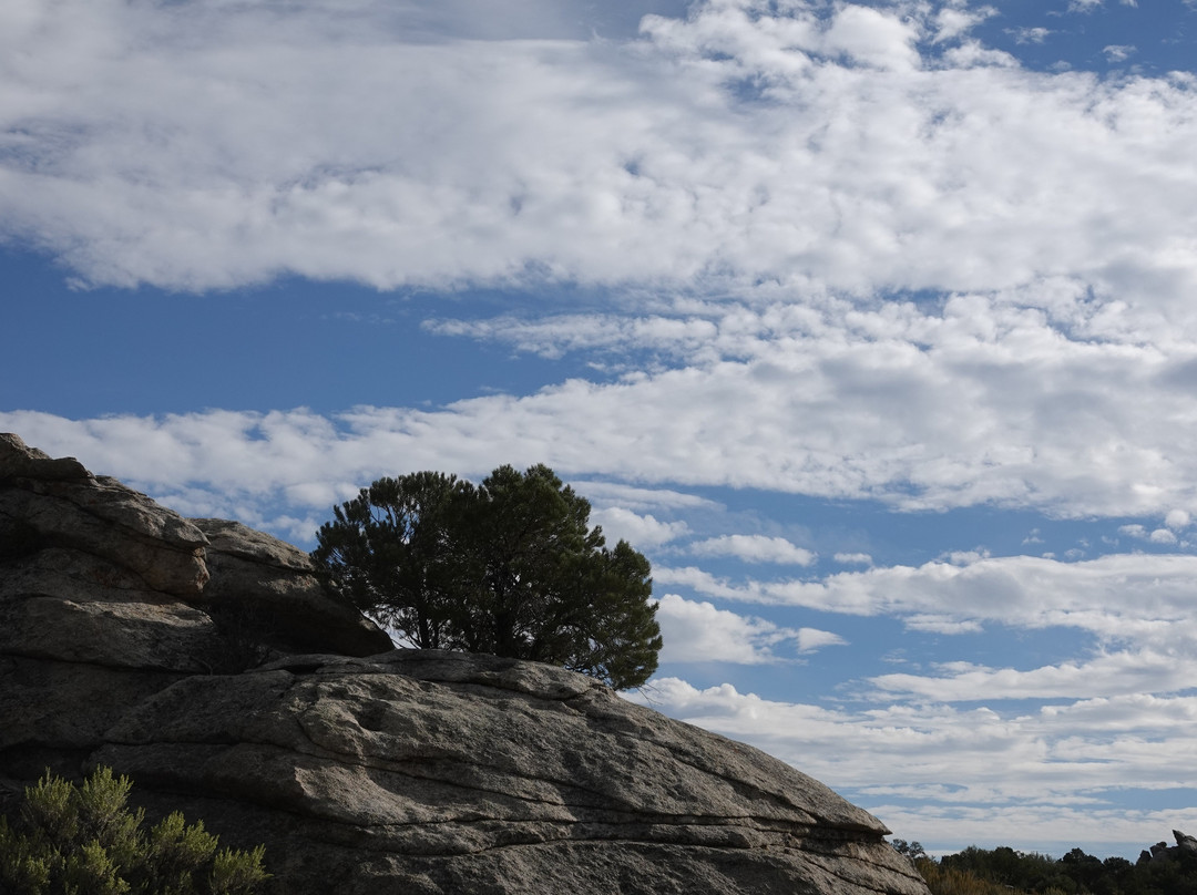 City Of Rocks National Reserve-Almo必去景点
