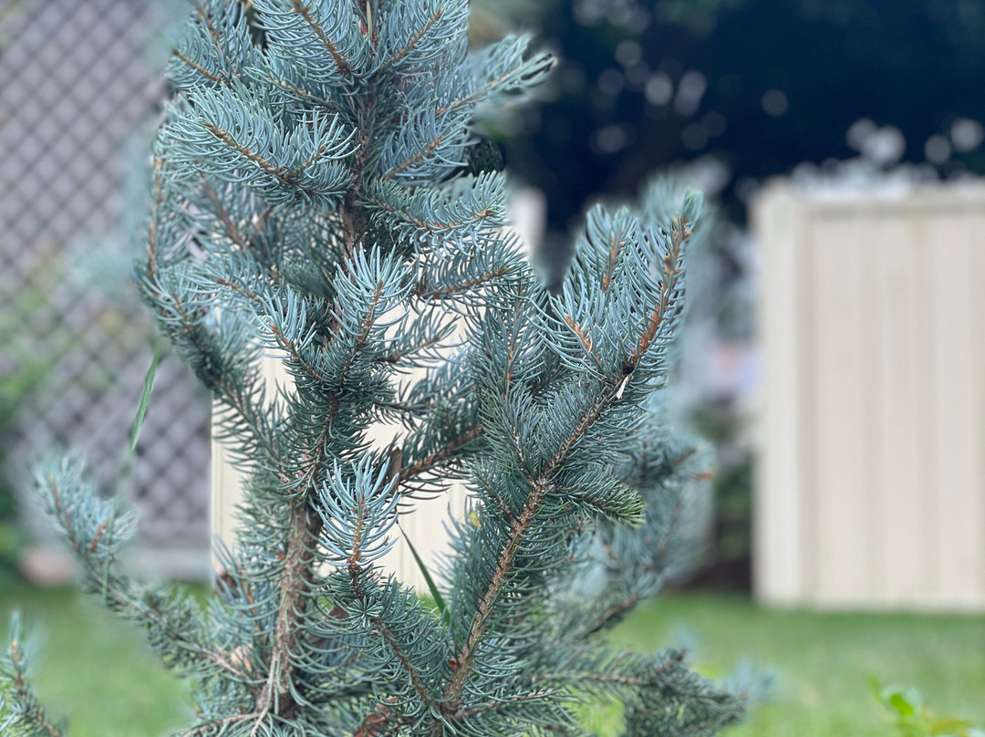 House of Wessex International-Glen Innes必去景点