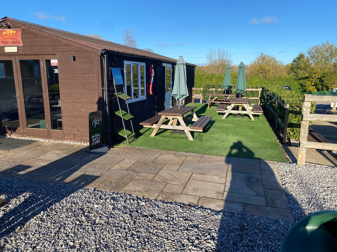 Junglemania Adventure Golf-Crondall必去景点