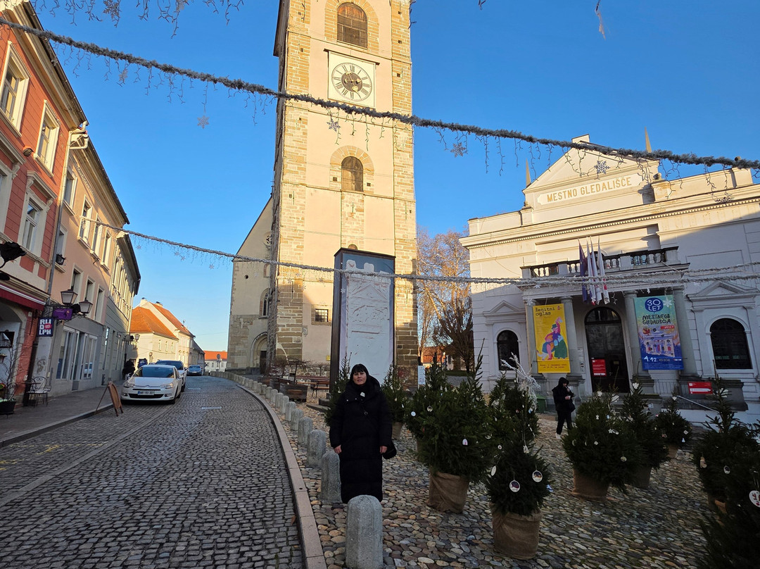 Ptuj City Tower-普图伊必去景点