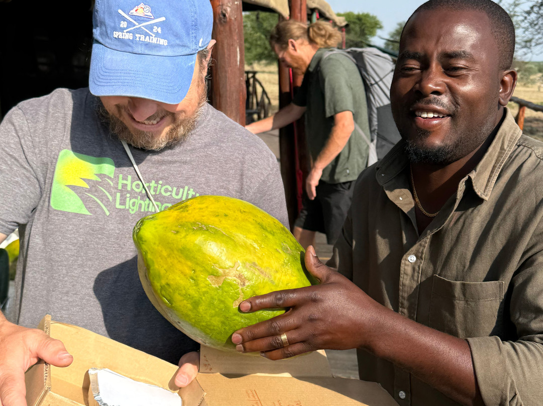 Julius Solomon Safari Guide-Ngorongoro必去景点