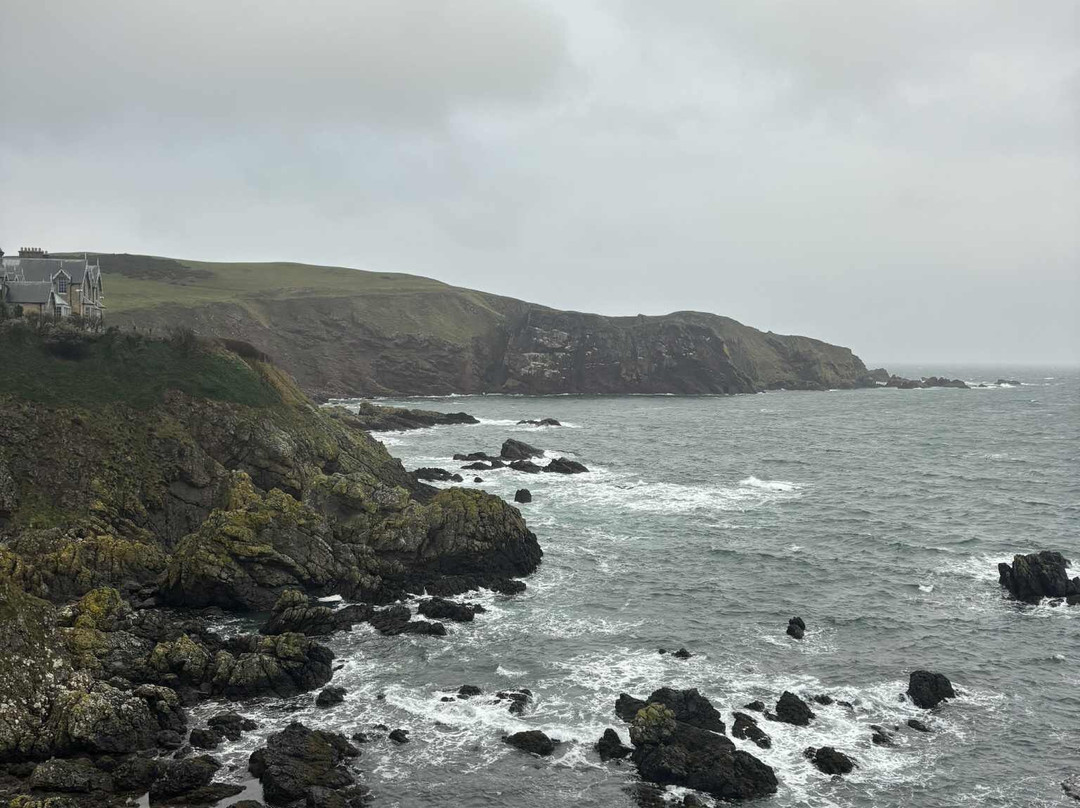 St Abbs Harbour-St Abbs必去景点