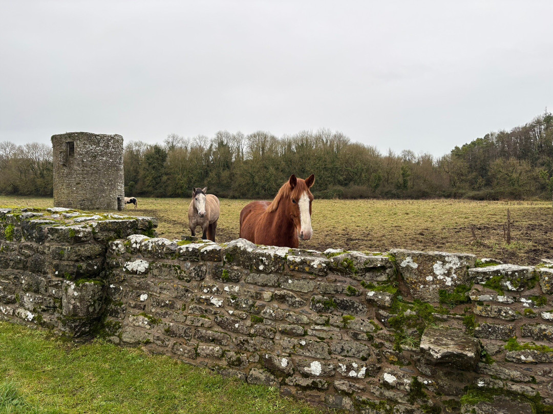 Ballybeg Priory-Mallow必去景点