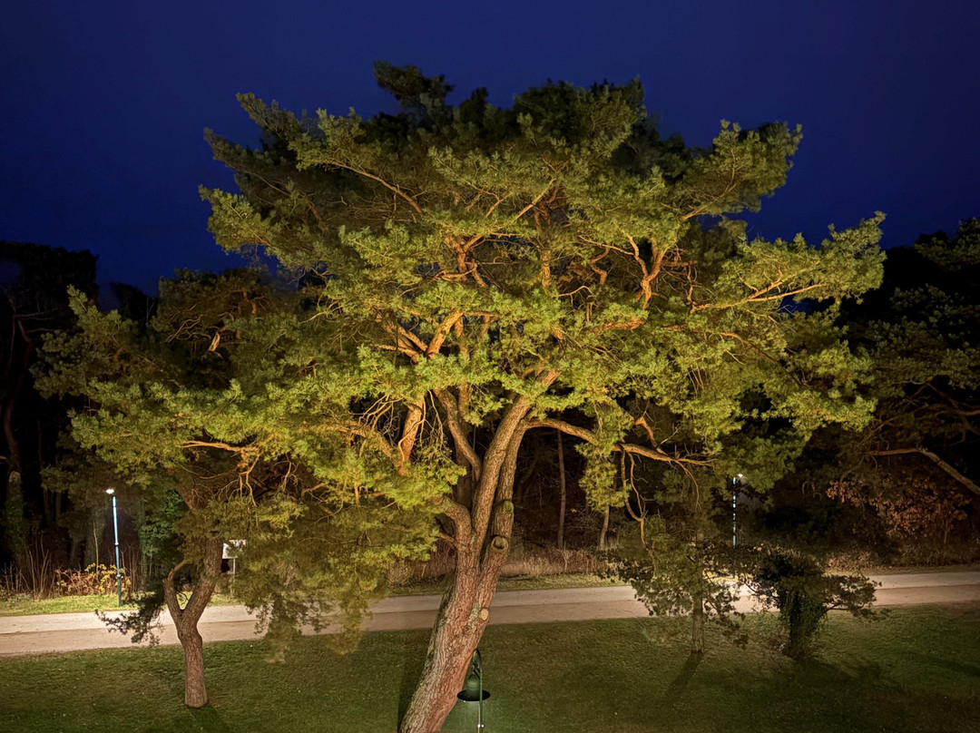 黑灵斯多夫斯丹德酒店主图