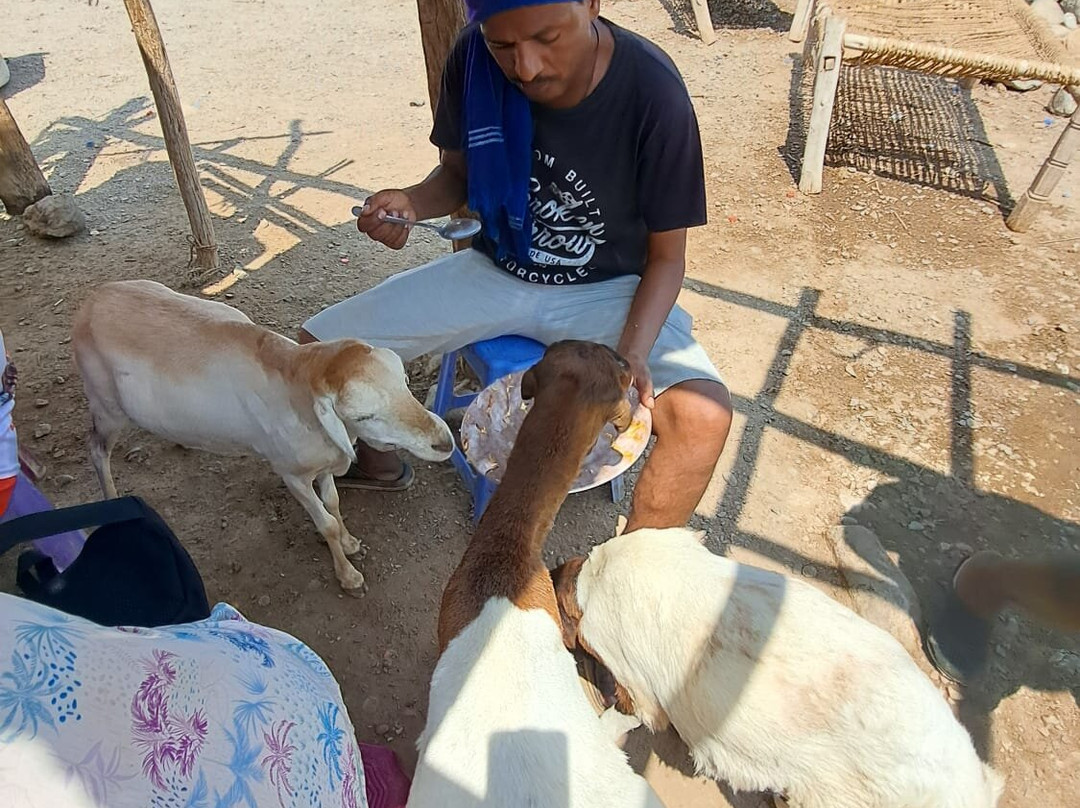 Imagine Ethiopia Tours - Day Tours-亚的斯亚贝巴必去景点