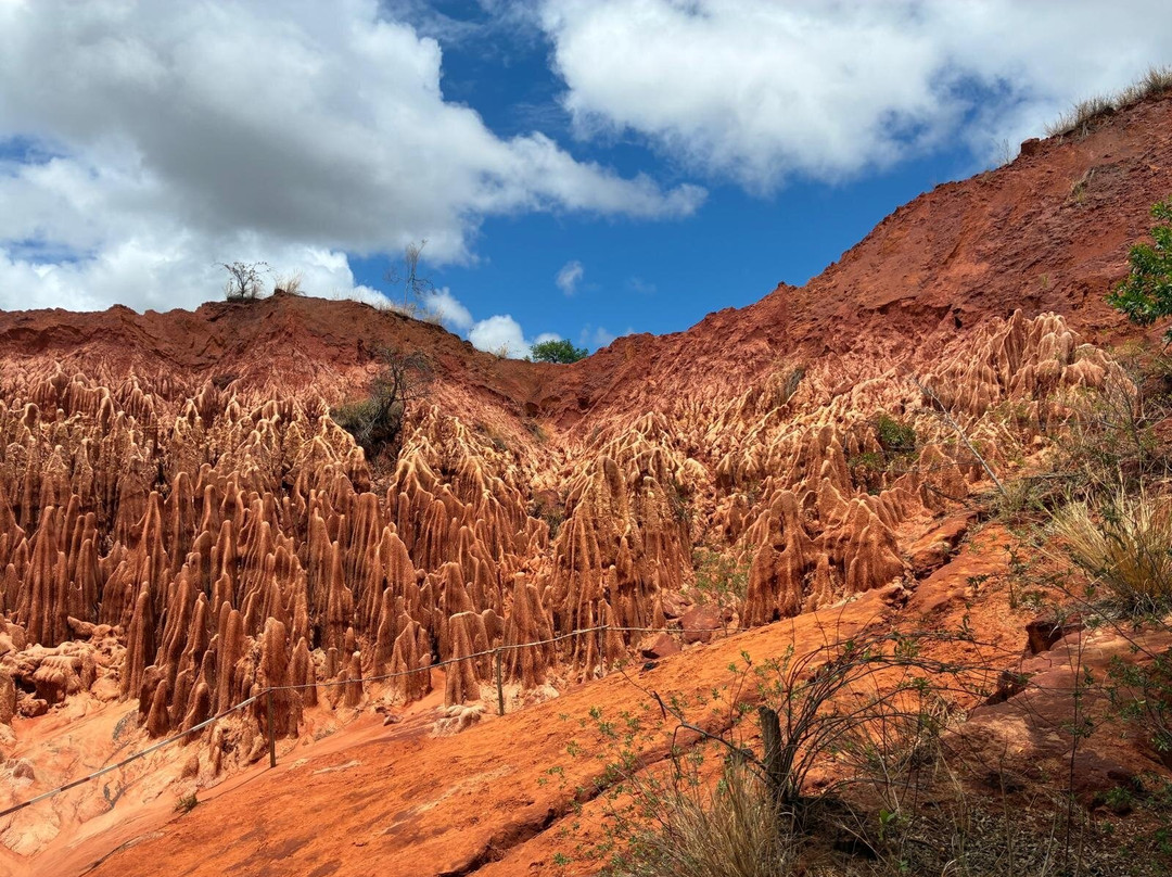 Tsingy Rouge Park-迪亚哥苏亚瑞必去景点
