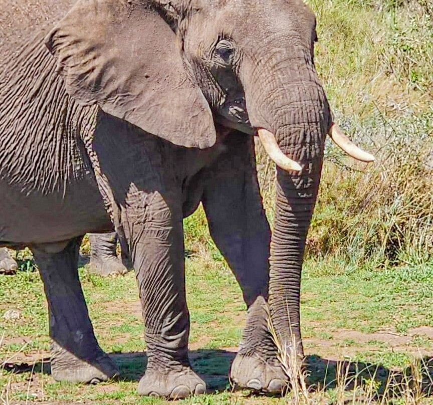 Mamnana Adventures-Olasiti必去景点