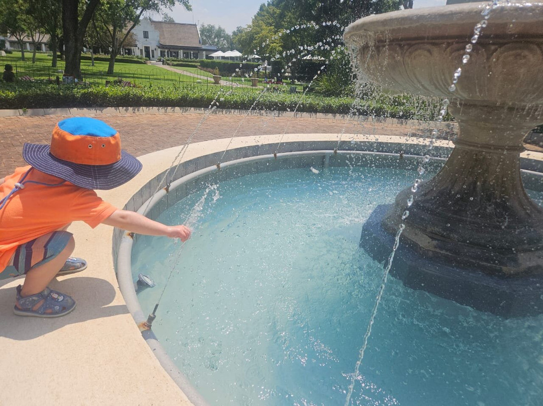 Kievits Kroon Gauteng Wine Estate主图