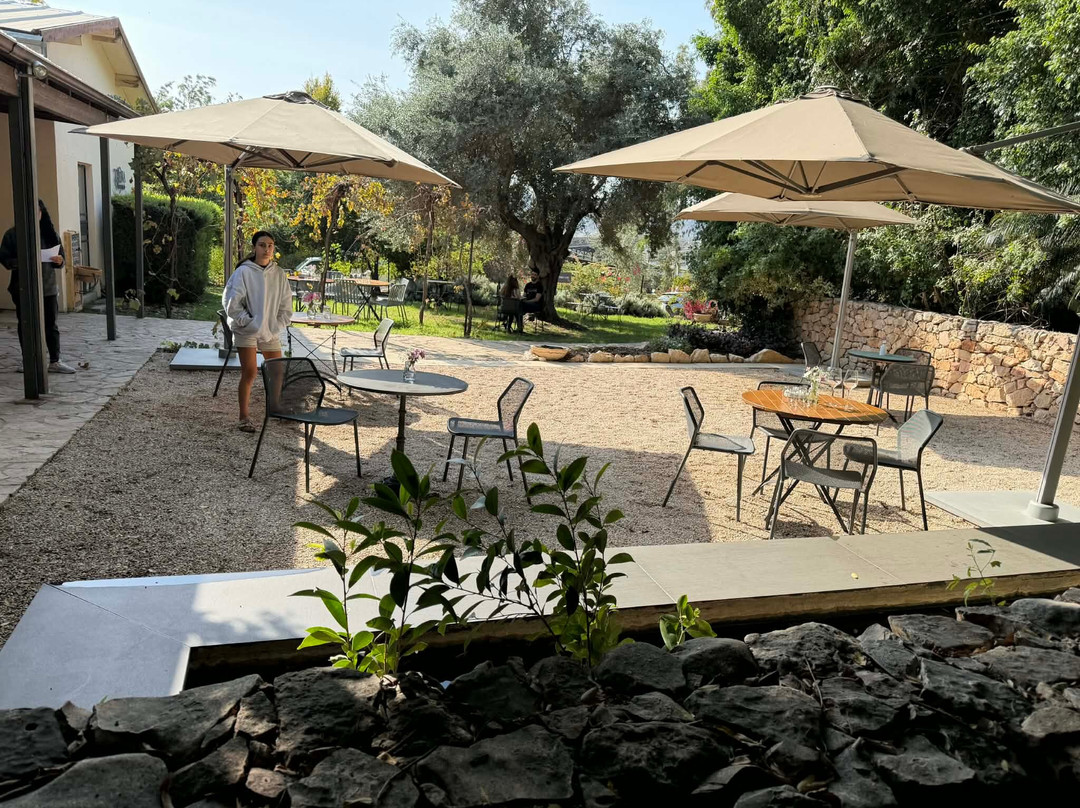 Israel Wine Tour-特拉维夫必去景点