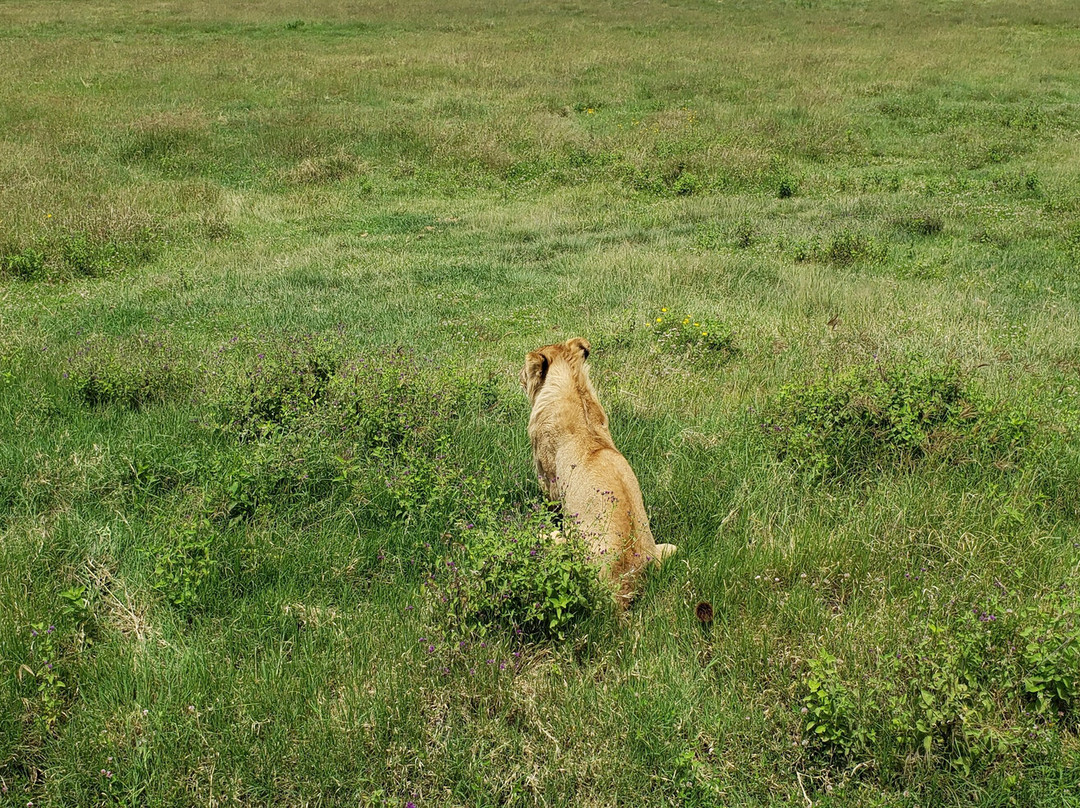 Mamnana Adventures-Olasiti必去景点
