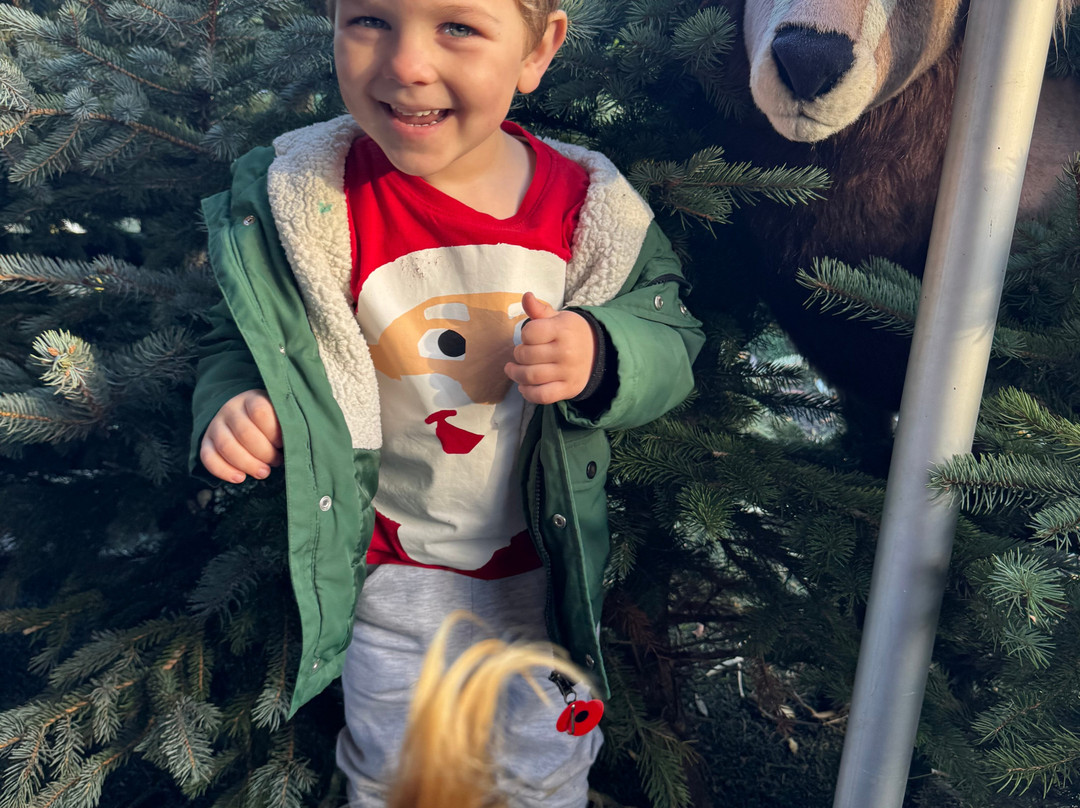 Hasty's Adventure Farm-滨海克拉克顿必去景点