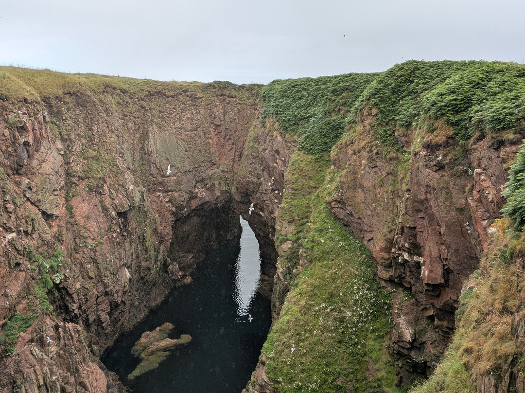 Bullers of Buchan-Peterhead必去景点