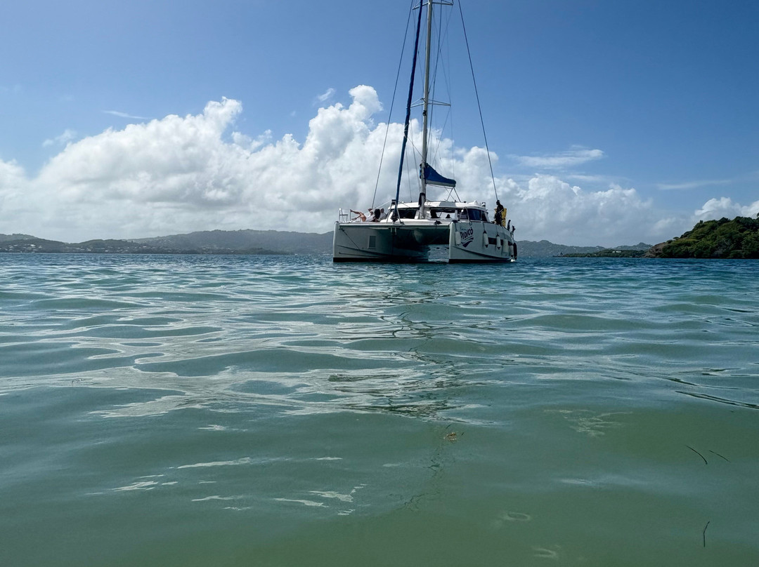 Matt'Excursions Nautiques-Le Francois必去景点