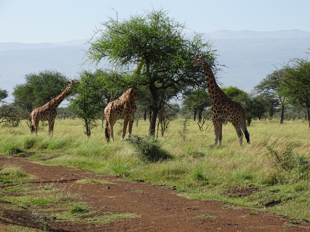 Mount Elgon Trekkers-Kapchorwa必去景点